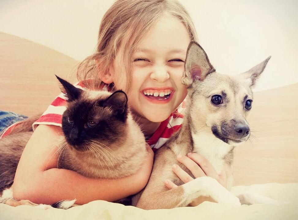 Pets can become at risk for helminth infections, especially for children