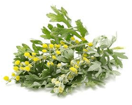 Body cleaning Plovine