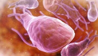What are the parasites in the person's liver